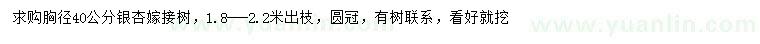求購胸徑40公分銀杏