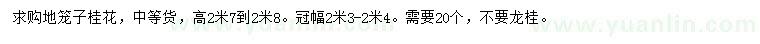 求購高2.7-2.8米桂花