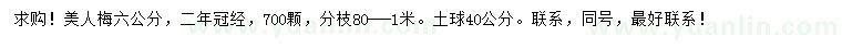 求購6公分美人梅