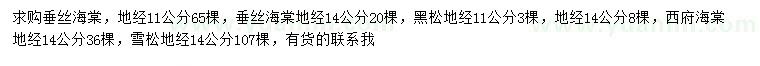 求購垂絲海棠、黑松、西府海棠等