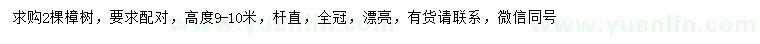 求購高9-10米樟樹