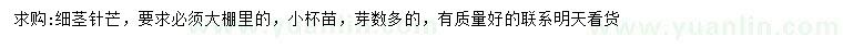 求購(gòu)細(xì)莖針芒