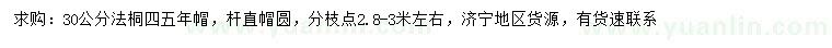 求購30公分法桐