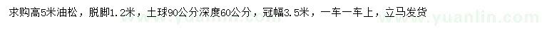 求購(gòu)高5米油松