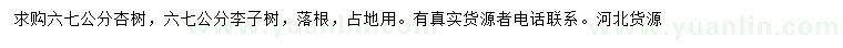 求購6、7公分杏樹、李子樹