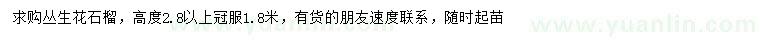 求購高2.8公分以上叢生花石榴