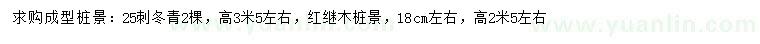 求購25公分刺冬青、18公分左右紅繼木樁景