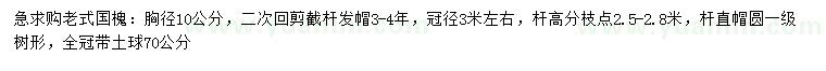 求購胸徑10公分老式國槐