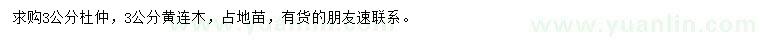 求購3公分杜仲、黃連木