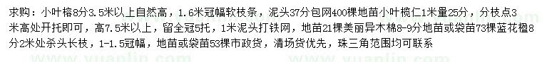 求購(gòu)小葉榕、小葉欖仁、美麗異木棉等