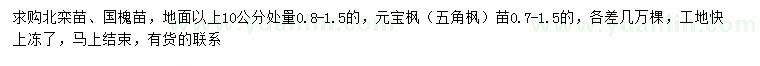 求購北欒、國槐、元寶楓等