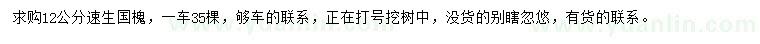 求購12公分速生國槐