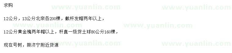 求購(gòu)12、13公分北欒、12公分黃金槐