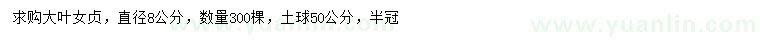求購8公分大葉女貞
