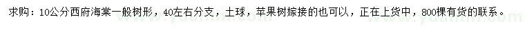 求購(gòu)10公分西府海棠