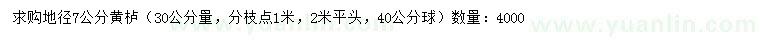 求購(gòu)30量7公分黃櫨