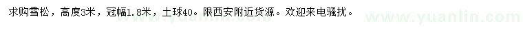 求購高3米雪松