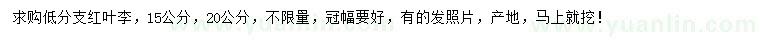 求購(gòu)15、20公分紅葉李