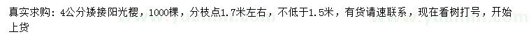求購4公分陽光櫻