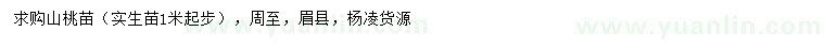 求購1米以上山桃苗