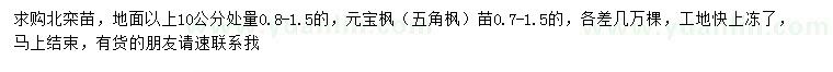 求購北欒、元寶楓、五角楓