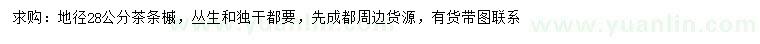求購地徑28公分茶條槭
