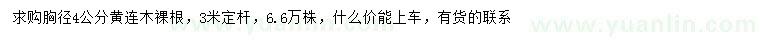 求購胸徑4公分黃連木