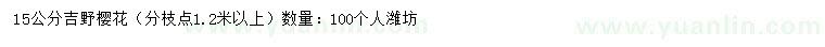 求購15公分吉野櫻花