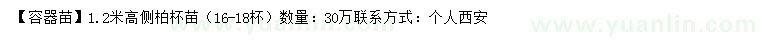 求購1.2米高側(cè)柏