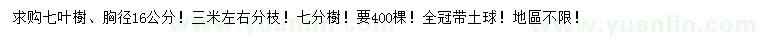 求購胸徑16公分七葉樹