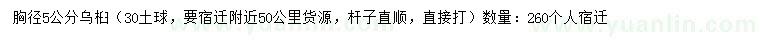 求購胸徑5公分烏桕
