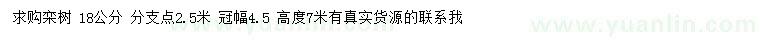 求購18公分欒樹
