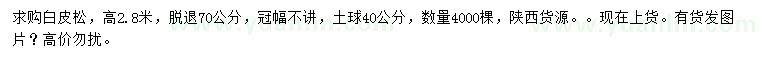 求購高2.8米白皮松