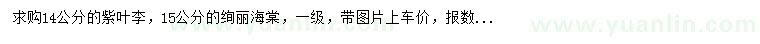 求購14公分紫葉李、15公分絢麗海棠