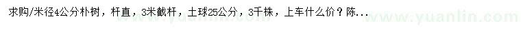 求購米徑4公分樸樹