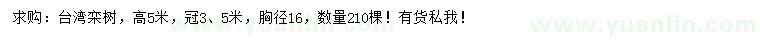 求購(gòu)高5米臺(tái)灣欒樹(shù)