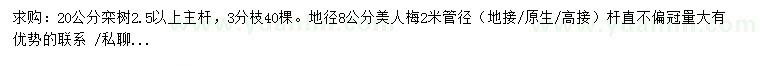求購20公分欒樹