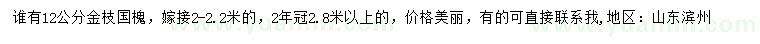 求購12公分金枝國槐