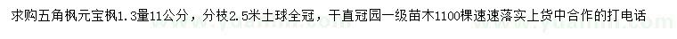 求購(gòu)1.3米量11公分五角楓、元寶楓