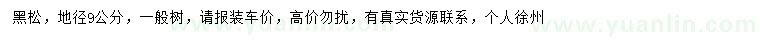 求購(gòu)地徑9公分黑松