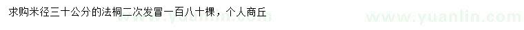 求購米徑30公分法桐