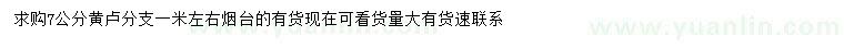 求購(gòu)7公分黃櫨