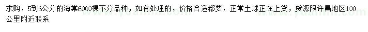 求購5-6公分海棠