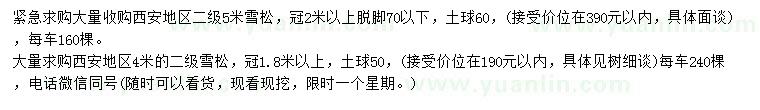 求購4、5米雪松