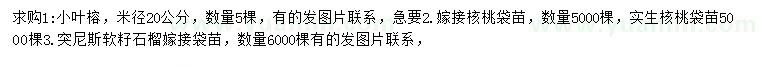 求購小葉榕、核桃苗、石榴苗