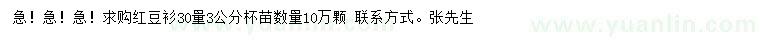 求購30量3公分紅豆衫