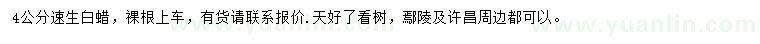 求購4公分速生白蠟