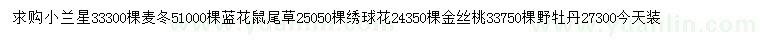 求購小蘭星、麥冬、藍(lán)花鼠尾草等
