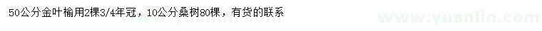 求購(gòu)50公分金葉榆、10公分桑樹(shù)