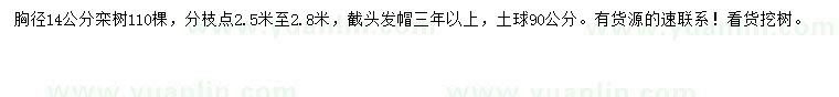 求購胸徑14公分欒樹